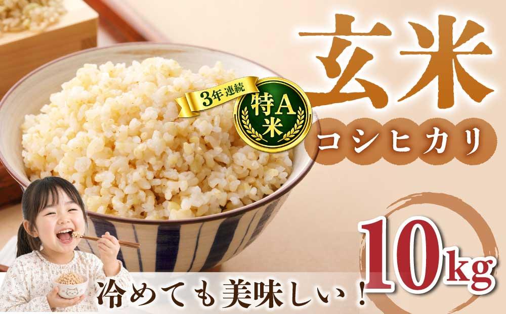 玄米10kg（5kg×2袋）特A米 冷めても美味しいコシヒカリ【小田農園】　　｜最短4～7日程度でお届け　※着日指定不可