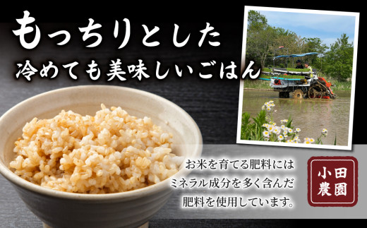 玄米10kg（5kg×2袋）特A米 冷めても美味しいコシヒカリ【小田農園】　　｜最短4～7日程度でお届け　※着日指定不可