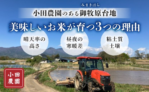玄米10kg（5kg×2袋）特A米 冷めても美味しいコシヒカリ【小田農園】　　｜最短4～7日程度でお届け　※着日指定不可