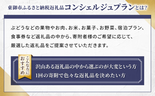 ããªãã ãã®ãªãŒããŒã¡ã€ããæ±åŸ¡åžã³ã³ã·ã§ã«ãžã¥ã10äžåã³ãŒã¹