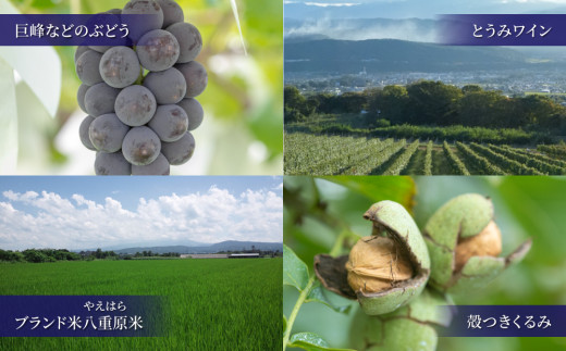 ããªãã ãã®ãªãŒããŒã¡ã€ããæ±åŸ¡åžã³ã³ã·ã§ã«ãžã¥ã10äžåã³ãŒã¹