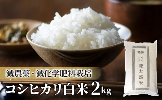 【令和7年産】八重原産コシヒカリ白米2kg 特別栽培米（減農薬・減化学肥料栽培）【太陽と大地】
