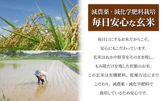 【令和7年産】八重原産 コシヒカリ 玄米 2kg｜特別栽培米（栽培期間中減農薬・減化学肥料栽培）【太陽と大地】