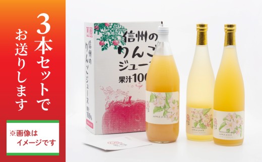 果汁100％りんごジュース（ふじ又はシナノドルチェ）３本【飯島りんご園】