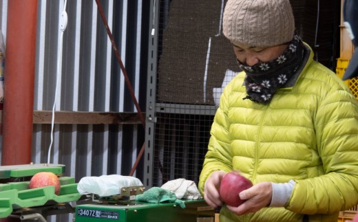 果汁100％りんごジュース3種3本セット【飯島りんご園】