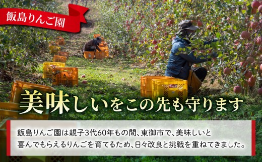 果汁100％りんごジュース（シナノゴールド）３本【飯島りんご園】