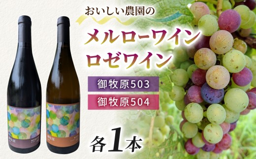 メルローワイン「御牧原503」ロゼワイン「御牧原504」セット（各1本）【おいしい農園】