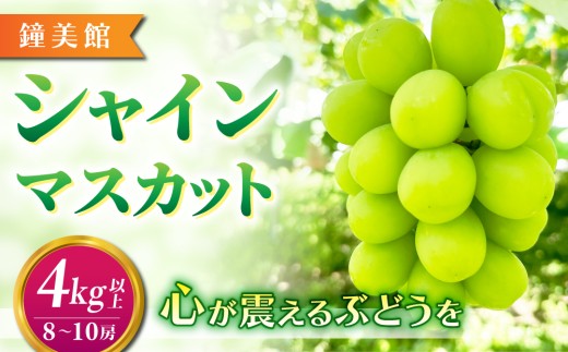 【先行受付2026年発送】標高750mで育ったシャインマスカット4キロ以上（8～10房）｜鐘美館  ※2026年10月上旬以降順次発送