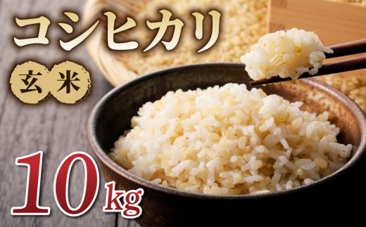 【新米予約】令和8年産 コシヒカリ玄米10kg｜特A米 長野 ※2026年10月上旬以降順次発送