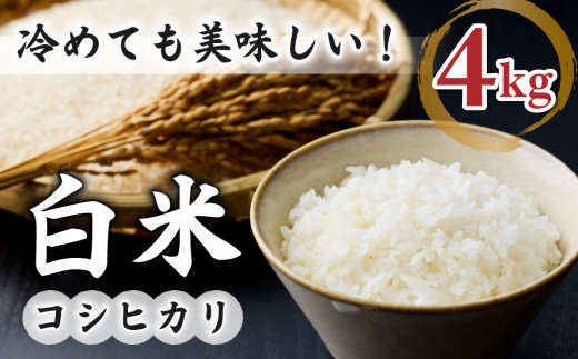 白米4kg【冷めても美味しいコシヒカリ】｜最短4～7日程度でお届け　※着日指定不可【小田農園】