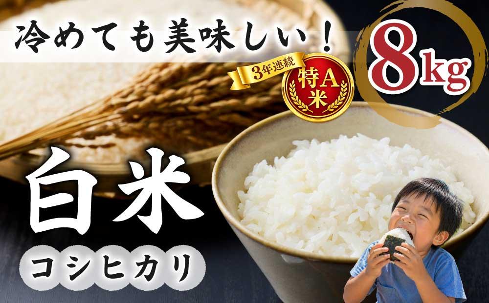 白米4kg 特A米【冷めても美味しいコシヒカリ】｜最短4～7日程度でお届け　※着日指定不可【小田農園】