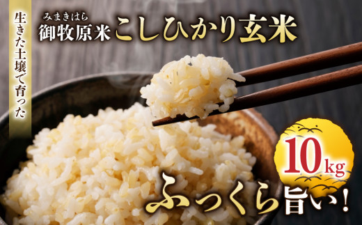 【先行受付2026年発送】長野県産！生きた土壌で育った御牧原米こしひかり 玄米（令和8年産）　10kg（5kg×2袋）｜里山JAPAN　※2026年10月上旬以降に発送予定