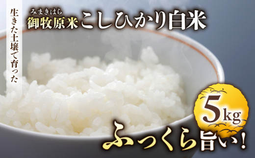 【先行受付2026年発送】長野県産！生きた土壌で育った御牧原米こしひかり 白米（八分づき・令和8年産）　5kg｜里山JAPAN　※2026年10月上旬以降に発送予定