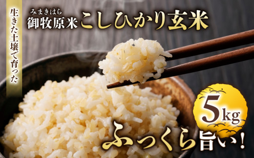 【先行受付2026年発送】長野県産！生きた土壌で育った御牧原米こしひかり 玄米（令和8年産）　5kg｜里山JAPAN　※2026年10月上旬以降に発送予定