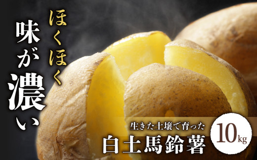 【先行受付2026年発送】長野県産新じゃがいも 生きた土壌で育った『白土馬鈴薯10kg』｜里山JAPAN　※2026年8月上旬以降発送予定