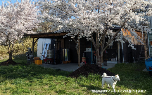 赤ワイン（ピノ・ノワール）2018、2019 ヴィンテージ、合計2本セット【アトリエデュヴァン】