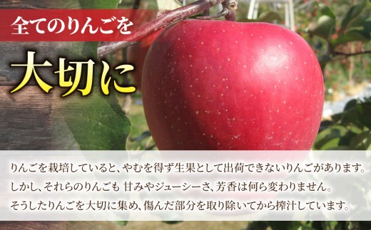 100％完熟りんごジュース「ひだまりの雫」（ふじ）　1000ml×3本【花岡果樹園】