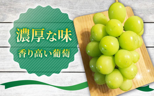 【先行受付2026年発送】農家直送！シャインマスカット2kg以上（4～5房）｜御牧原おいしい農園　※2026年10月上旬以降順次発送