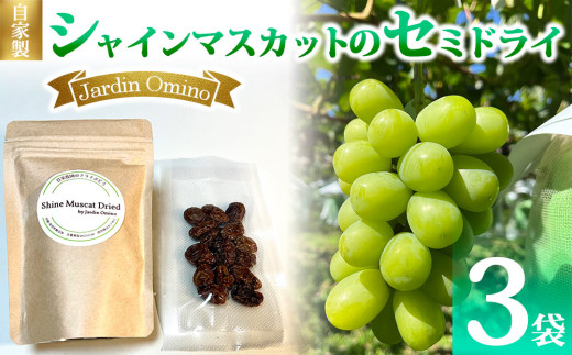 自家製シャインマスカットのセミドライ（50g）  3袋セット【Jardin Omino】