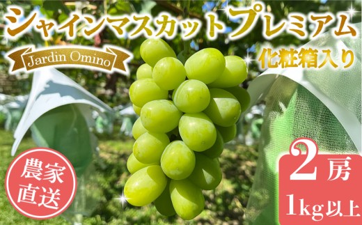 【先行受付2026年発送】シャインマスカット プレミアム 2房、1kg以上｜Jardin Omino　※2026年9月上旬~10月中旬に発送予定