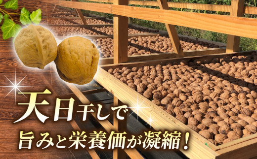 令和7年産 信濃くるみ　剥きタイプ（300g）※150g×2袋 【アルファーム】