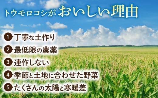 【先行受付2026年発送】生でもすごく甘い！生きた土壌で育った『とうもろこし』2Lサイズ8本｜里山JAPAN  ※2026年7月中旬以降発送予定
