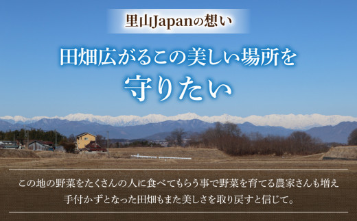 【先行受付2026年発送】生でもすごく甘い！生きた土壌で育った『とうもろこし』2Lサイズ8本｜里山JAPAN  ※2026年7月中旬以降発送予定
