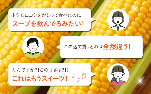 【先行受付2026年発送】生でもすごく甘い！生きた土壌で育った『とうもろこし』2Lサイズ8本｜里山JAPAN  ※2026年7月中旬以降発送予定