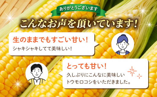 【先行受付2026年発送】生でもすごく甘い！生きた土壌で育った『とうもろこし』2Lサイズ8本｜里山JAPAN  ※2026年7月中旬以降発送予定