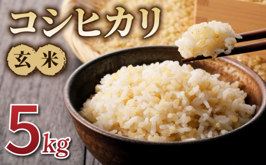 【新米予約】令和8年産 コシヒカリ玄米５kg｜特A米 長野 ※2026年10月上旬以降順次発送