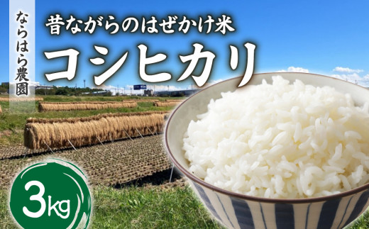 昔ながらのはぜかけ米コシヒカリ　白米３kg（令和8年産新米） 【ならはら農園】※2026年11月上旬以降発送予定