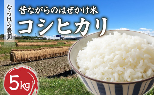昔ながらのはぜかけ米コシヒカリ　白米５kg（令和8年産新米） 【ならはら農園】※2026年11月上旬以降発送予定