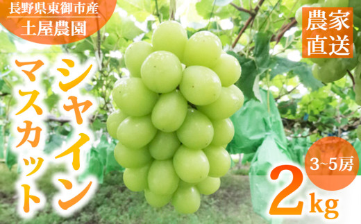 【先行受付2026年発送】農家直送！シャインマスカット2kg（3～5房）※2026年9月下旬～10月中旬順次発送【土屋農園】