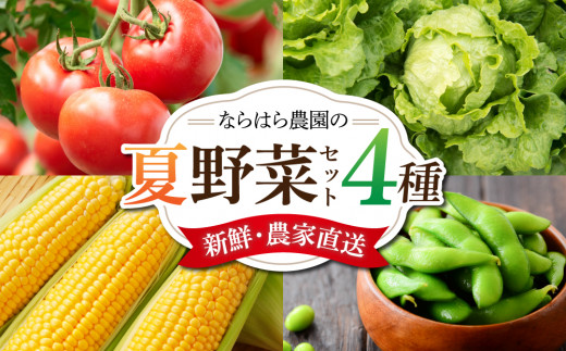 æ°é®®ïŒèŸ²å®¶çŽéïŒå€éèã®ã»ããïŒããããæè±ããšããããããèç©éèïŒããªãã¯ã蟲åãâ»2026幎8æäžæ¬ä»¥éçºé