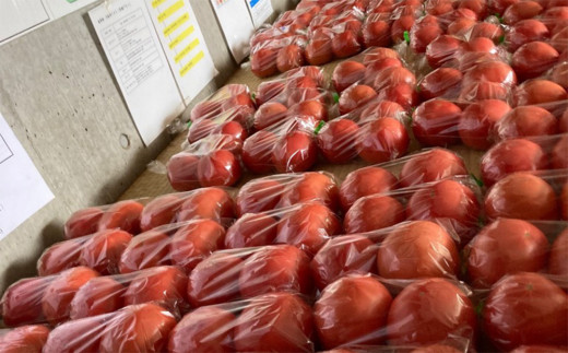 æ°é®®ïŒèŸ²å®¶çŽéïŒå€éèã®ã»ããïŒããããæè±ããšããããããèç©éèïŒããªãã¯ã蟲åãâ»2026幎8æäžæ¬ä»¥éçºé