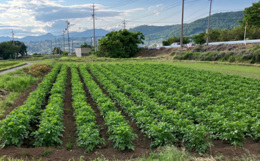 æ°é®®ïŒèŸ²å®¶çŽéïŒå€éèã®ã»ããïŒããããæè±ããšããããããèç©éèïŒããªãã¯ã蟲åãâ»2026幎8æäžæ¬ä»¥éçºé