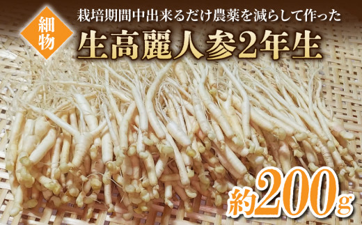 【栽培期間出来るだけ農薬を減らして作った 生高麗人参】2年生 細物 約200g 国産 朝鮮人参｜天然アロマ工房Pono　※2026年10月中旬～11月下旬お届け予定
