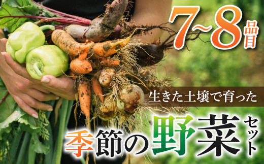 【先行受付2026年発送】長野県東御市産生きた土壌で育った『季節の野菜セット』（7～8品目）｜里山JAPAN　※2026年7月から発送開始