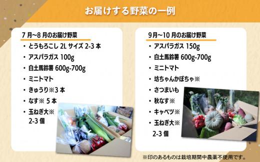 【先行受付2026年発送】長野県東御市産生きた土壌で育った『季節の野菜セット』（7～8品目）｜里山JAPAN　※2026年7月から発送開始