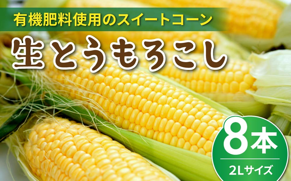 生とうもろこし 2Lサイズ 8本 有機肥料使用のスイートコーン！ 長野県東御市産 ※7月上旬から順次発送予定※発送曜日指定不可