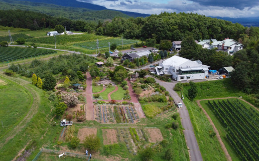 【ヴィラデストワイナリー】白ワイン3種飲み比べ3本セット(ヴィニュロンズリザーブ シャルドネ & ソーヴィニヨンブラン & ピノ・グリ)