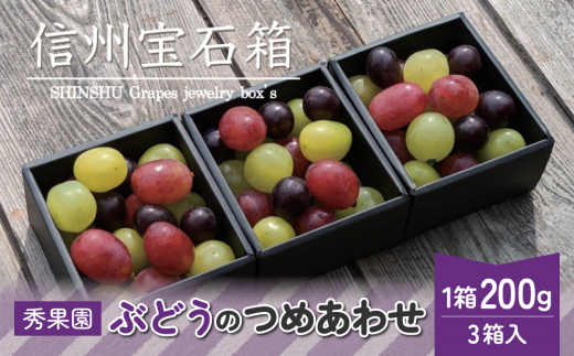 【先行受付2026年発送】信州宝石箱（4～6種のぶどう詰め合わせ、合計約600g）｜ 秀果園 　※2026年9月上旬以降順次発送