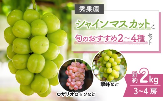 【予約受付2026年発送】シャインマスカットと旬のおすすめぶどう2～4種セット（合計3～4房、約2kg）｜秀果園　※2026年9月下旬～10月順次発送予定