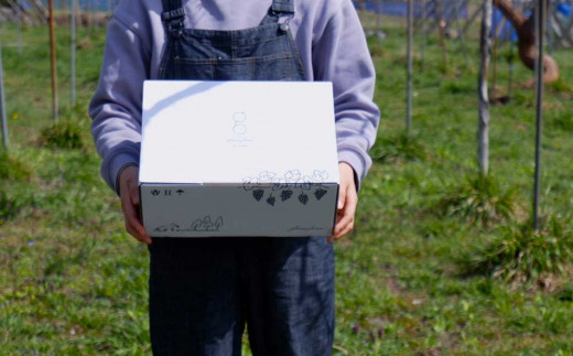 ãå
è¡åä»2026幎çºéãå®çã¶ã©ãã®é£ã¹æ¯ã¹ã»ããïŒã·ã£ã€ã³ãã¹ã«ããÃå·šå³°ïŒïŒæ¿ã1.4kg以äžïœglasses farm â»2026幎9æäžæ¬ä»¥éçºéäºå®