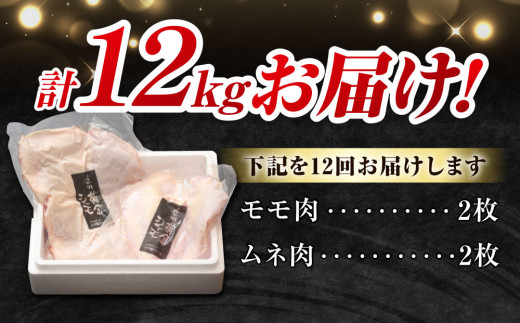 【１２回定期便 】信州黄金シャモモモ・ムネ肉セット