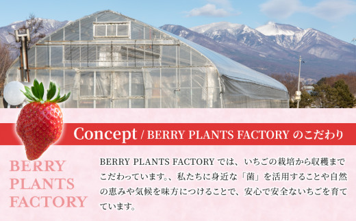 長野県産 いちご「とちおとめ」１kg以上｜BERRY PLANTS FACTORY 東御市