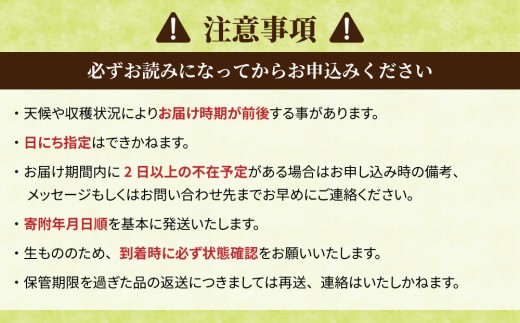 長野県産 いちご「とちおとめ」１kg以上｜BERRY PLANTS FACTORY 東御市