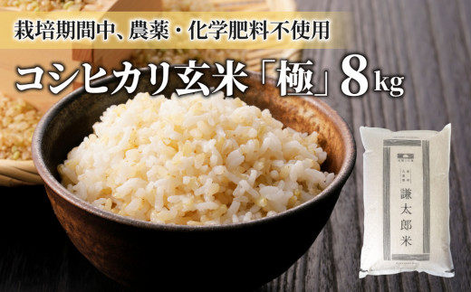 【令和7年産】八重原産 コシヒカリ 玄米「極」（栽培期間中農薬化学肥料不使用）8kg【太陽と大地】お米※2025年10月中旬以降発送