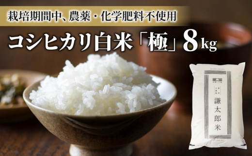 【令和7年産】八重原産コシヒカリ白米「極」8kg（栽培期間中農薬化学肥料不使用）【太陽と大地】※2025年10月中旬以降発送