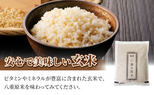 ã什å7幎ç£ãå
«éåç£ã³ã·ãã«ãª çç±³ 2kg㚠倧æ¡ååº ä¿¡å·å³åãå
«éåå³åã500gã®ã»ããïœç¹å¥æ œå¹ç±³ïŒæ œå¹æéäžæžèŸ²è¬ã»æžååŠè¥ææ œå¹ïŒ ãç±³ ã倪éœãšå€§å°ã